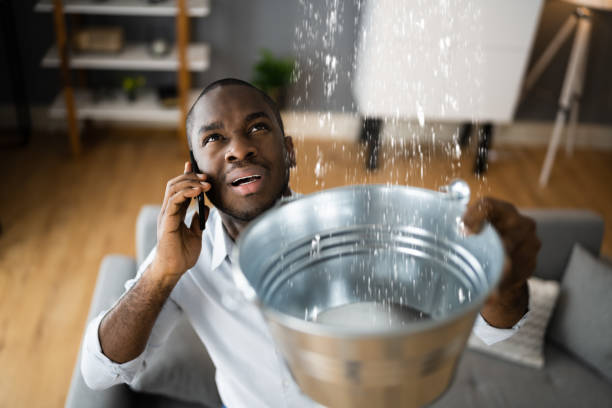 Best Basement water damage restoration  in Lutcher, LA
