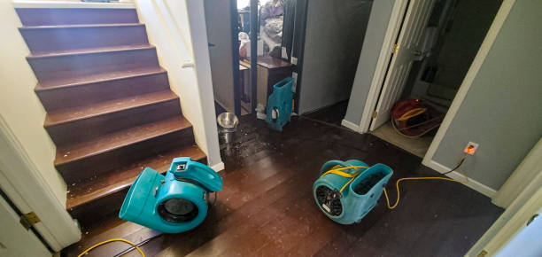 Local water damage restoration in LA
