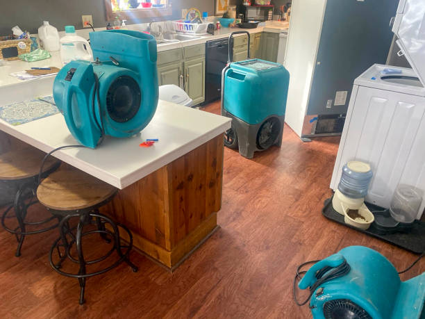 Best Commercial water damage restoration  in Lutcher, LA
