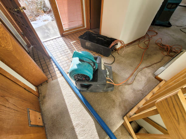 Best Ceiling water damage repair  in Lutcher, LA