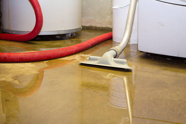 Best Flooded house restoration  in Lutcher, LA