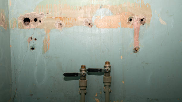 Best 24-hour water damage restoration  in Lutcher, LA
