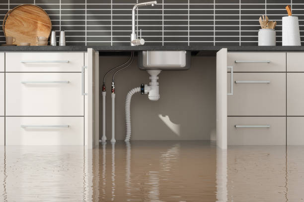 Best 24/7 water damage repair  in Lutcher, LA