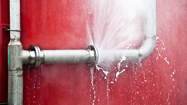 Best Water damage contractors near me  in Lutcher, LA