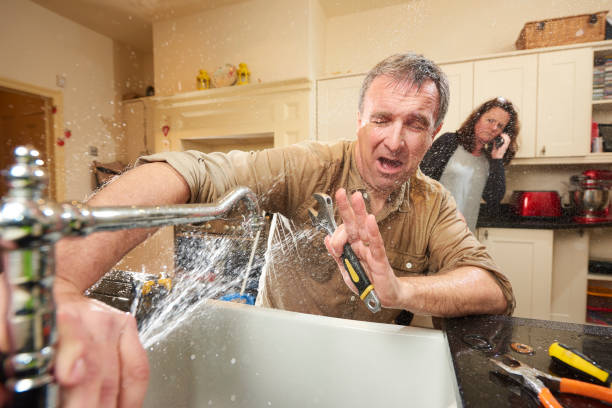 Best Professional water damage repair  in Lutcher, LA